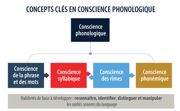 M06 Section 3 Composante Lecture